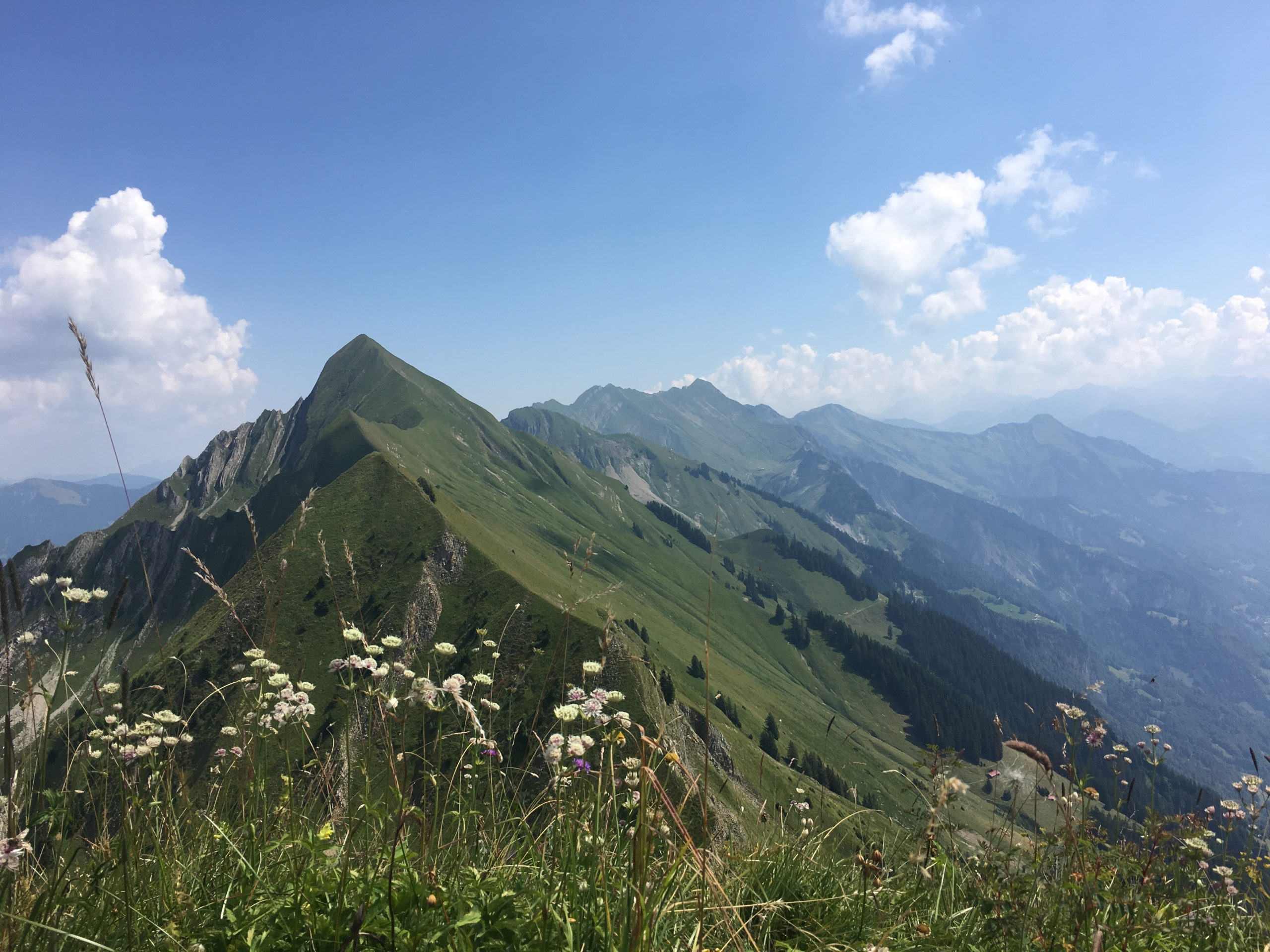 Mountain Ridge Between The Augstmatthorn And Harder Kulm Interlaken Lake  Brienz Canton Of Bern Switzerland Stock Photo - Download Image Now - iStock